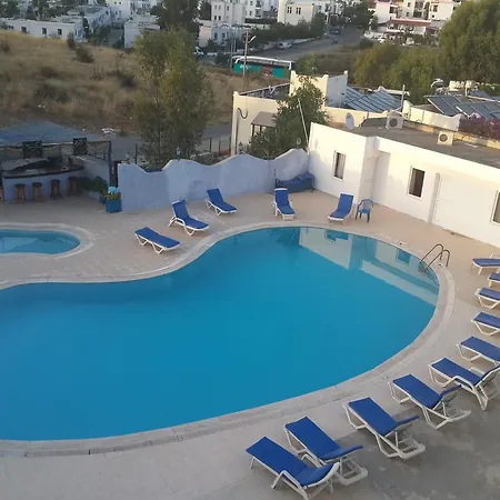 Oda ve Kahvaltı Sardunya